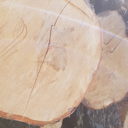 kaitrios malkos 067293310