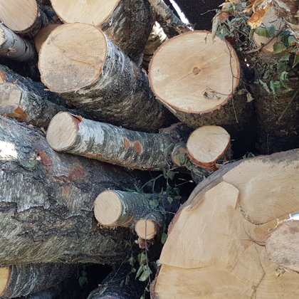 kokybiškos malkos 067293310