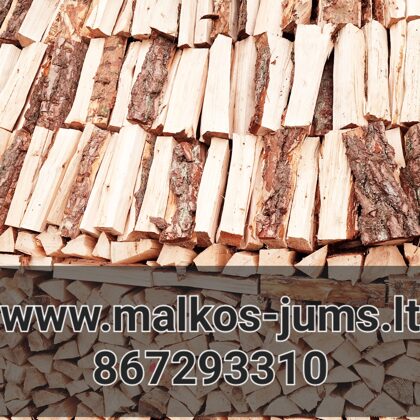 Būsto šildymas malkomis