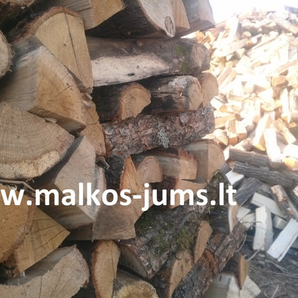 sausas ąžuolas 067293310