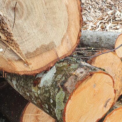 malkos į namus Vilniuje