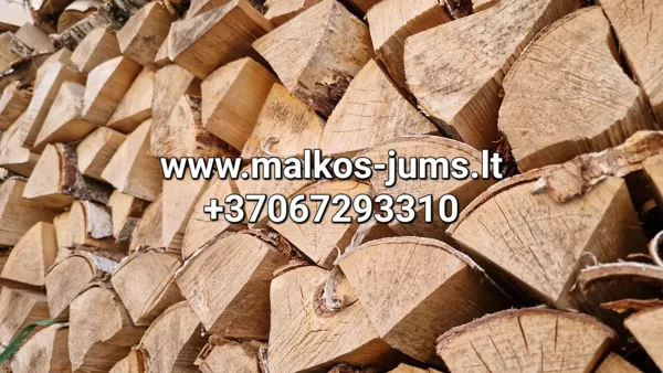 sausos pigios malkos Vilniuje