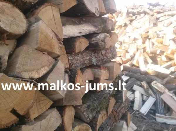 sausas ąžuolas 067293310
