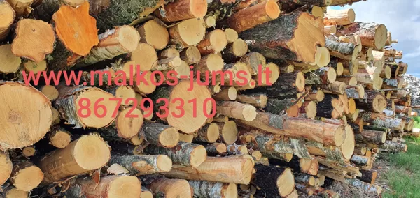 geros malkos vilniuje