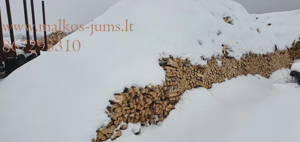 malkos vilniuje akcija